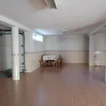 S. Miguel 阿鲁卡