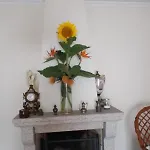 S. Miguel Casa vacanze *
