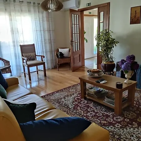 S. Miguel Holiday home