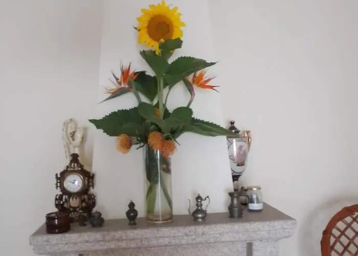 S. Miguel Ferienhaus *